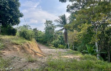 LUXURIOUS PRE-CONSTRUCTION 3-BEDROOM HOME IN DESIRED PLAYA HERMOSA – 0.57 ACRES